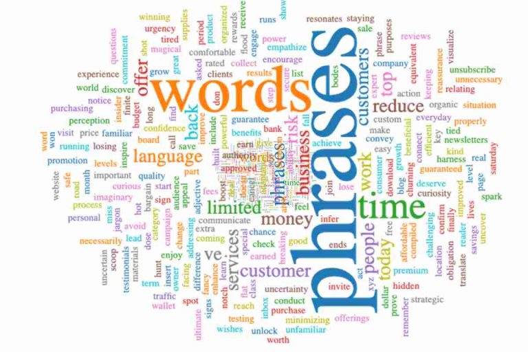 What are the Synonyms for Niche? Pronounce, Examples, and More