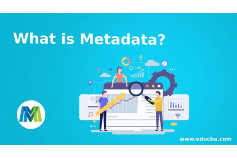 What is the Metadata? – Use, Types, Adds, and More