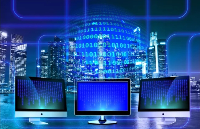 Services of Information Technology Specialist