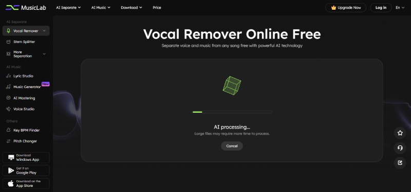 ai voice removal